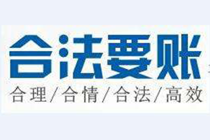 泰安借条担保相关法律咨询及担保人责任解析